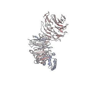 10055_6rxy_UM_v1-1
Cryo-EM structure of the 90S pre-ribosome (Kre33-Noc4) from Chaetomium thermophilum, state a