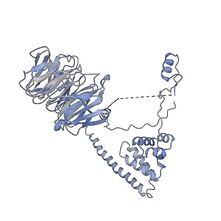 10055_6rxy_UO_v1-1
Cryo-EM structure of the 90S pre-ribosome (Kre33-Noc4) from Chaetomium thermophilum, state a