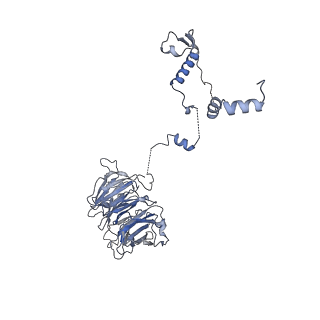 10055_6rxy_UR_v1-1
Cryo-EM structure of the 90S pre-ribosome (Kre33-Noc4) from Chaetomium thermophilum, state a