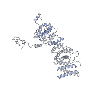 10055_6rxy_US_v1-1
Cryo-EM structure of the 90S pre-ribosome (Kre33-Noc4) from Chaetomium thermophilum, state a
