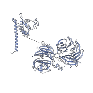 10055_6rxy_UU_v1-1
Cryo-EM structure of the 90S pre-ribosome (Kre33-Noc4) from Chaetomium thermophilum, state a