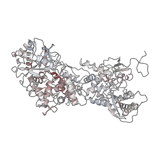 10055_6rxy_UV_v1-1
Cryo-EM structure of the 90S pre-ribosome (Kre33-Noc4) from Chaetomium thermophilum, state a