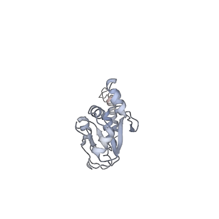 10055_6rxy_UX_v1-1
Cryo-EM structure of the 90S pre-ribosome (Kre33-Noc4) from Chaetomium thermophilum, state a