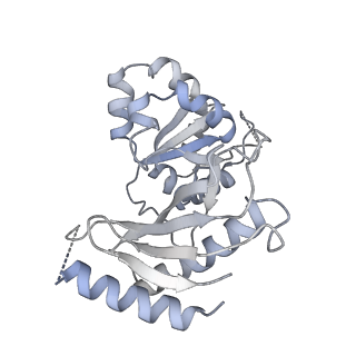 10055_6rxy_UZ_v1-1
Cryo-EM structure of the 90S pre-ribosome (Kre33-Noc4) from Chaetomium thermophilum, state a