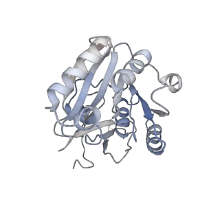 10056_6rxz_CA_v1-1
Cryo-EM structure of the 90S pre-ribosome (Kre33-Noc4) from Chaetomium thermophilum, state b