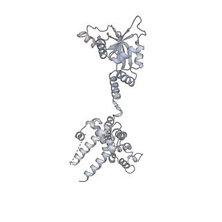 10056_6rxz_CC_v1-1
Cryo-EM structure of the 90S pre-ribosome (Kre33-Noc4) from Chaetomium thermophilum, state b