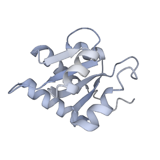 10056_6rxz_CE_v1-1
Cryo-EM structure of the 90S pre-ribosome (Kre33-Noc4) from Chaetomium thermophilum, state b