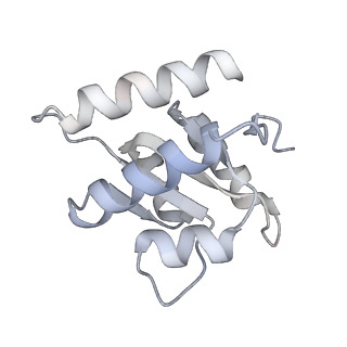 10056_6rxz_CF_v1-1
Cryo-EM structure of the 90S pre-ribosome (Kre33-Noc4) from Chaetomium thermophilum, state b