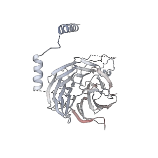 10056_6rxz_CG_v1-1
Cryo-EM structure of the 90S pre-ribosome (Kre33-Noc4) from Chaetomium thermophilum, state b