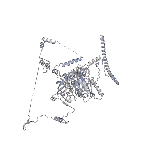 10056_6rxz_CI_v1-1
Cryo-EM structure of the 90S pre-ribosome (Kre33-Noc4) from Chaetomium thermophilum, state b