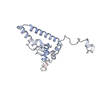 10056_6rxz_CJ_v1-1
Cryo-EM structure of the 90S pre-ribosome (Kre33-Noc4) from Chaetomium thermophilum, state b