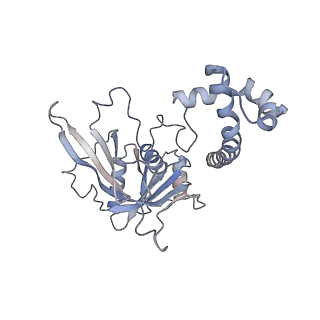 10056_6rxz_CK_v1-1
Cryo-EM structure of the 90S pre-ribosome (Kre33-Noc4) from Chaetomium thermophilum, state b