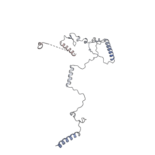 10056_6rxz_CL_v1-1
Cryo-EM structure of the 90S pre-ribosome (Kre33-Noc4) from Chaetomium thermophilum, state b