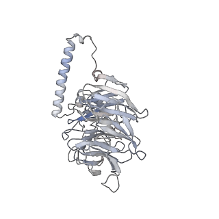 10056_6rxz_CM_v1-1
Cryo-EM structure of the 90S pre-ribosome (Kre33-Noc4) from Chaetomium thermophilum, state b