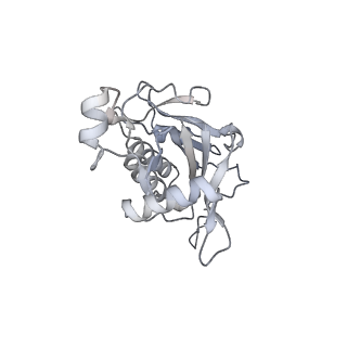 10056_6rxz_CN_v1-1
Cryo-EM structure of the 90S pre-ribosome (Kre33-Noc4) from Chaetomium thermophilum, state b