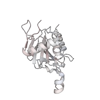 10056_6rxz_CO_v1-1
Cryo-EM structure of the 90S pre-ribosome (Kre33-Noc4) from Chaetomium thermophilum, state b