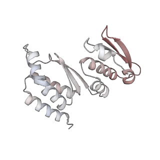 10056_6rxz_CQ_v1-1
Cryo-EM structure of the 90S pre-ribosome (Kre33-Noc4) from Chaetomium thermophilum, state b
