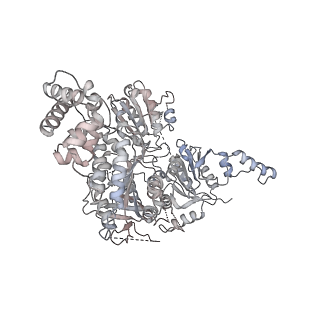 10056_6rxz_CR_v1-1
Cryo-EM structure of the 90S pre-ribosome (Kre33-Noc4) from Chaetomium thermophilum, state b