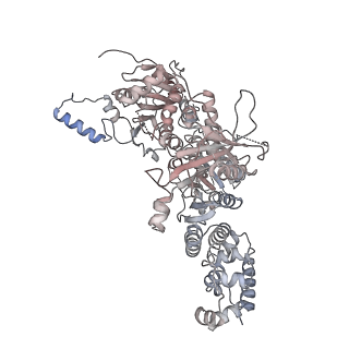 10056_6rxz_CS_v1-1
Cryo-EM structure of the 90S pre-ribosome (Kre33-Noc4) from Chaetomium thermophilum, state b