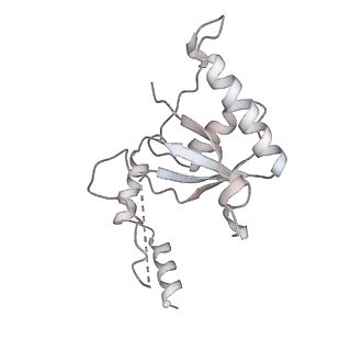 10056_6rxz_CV_v1-1
Cryo-EM structure of the 90S pre-ribosome (Kre33-Noc4) from Chaetomium thermophilum, state b