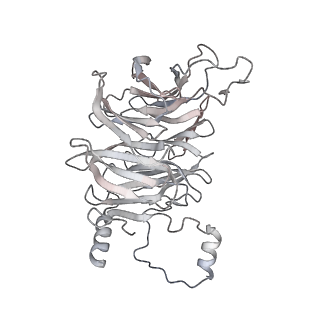 10056_6rxz_CW_v1-1
Cryo-EM structure of the 90S pre-ribosome (Kre33-Noc4) from Chaetomium thermophilum, state b