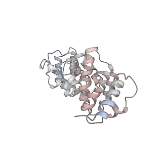 10056_6rxz_CX_v1-1
Cryo-EM structure of the 90S pre-ribosome (Kre33-Noc4) from Chaetomium thermophilum, state b