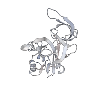 10056_6rxz_Cb_v1-1
Cryo-EM structure of the 90S pre-ribosome (Kre33-Noc4) from Chaetomium thermophilum, state b
