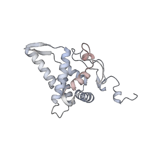 10056_6rxz_Cc_v1-1
Cryo-EM structure of the 90S pre-ribosome (Kre33-Noc4) from Chaetomium thermophilum, state b