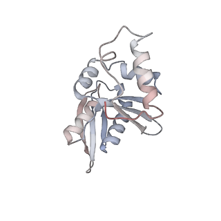 10056_6rxz_Ce_v1-1
Cryo-EM structure of the 90S pre-ribosome (Kre33-Noc4) from Chaetomium thermophilum, state b