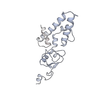 10056_6rxz_Cg_v1-1
Cryo-EM structure of the 90S pre-ribosome (Kre33-Noc4) from Chaetomium thermophilum, state b