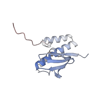10056_6rxz_Cj_v1-1
Cryo-EM structure of the 90S pre-ribosome (Kre33-Noc4) from Chaetomium thermophilum, state b