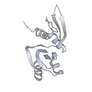 10056_6rxz_Cm_v1-1
Cryo-EM structure of the 90S pre-ribosome (Kre33-Noc4) from Chaetomium thermophilum, state b