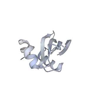 10056_6rxz_Co_v1-1
Cryo-EM structure of the 90S pre-ribosome (Kre33-Noc4) from Chaetomium thermophilum, state b