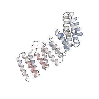10056_6rxz_Cz_v1-1
Cryo-EM structure of the 90S pre-ribosome (Kre33-Noc4) from Chaetomium thermophilum, state b