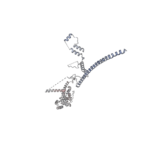 10056_6rxz_UB_v1-1
Cryo-EM structure of the 90S pre-ribosome (Kre33-Noc4) from Chaetomium thermophilum, state b