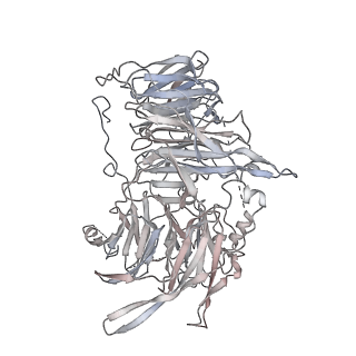 10056_6rxz_UD_v1-1
Cryo-EM structure of the 90S pre-ribosome (Kre33-Noc4) from Chaetomium thermophilum, state b