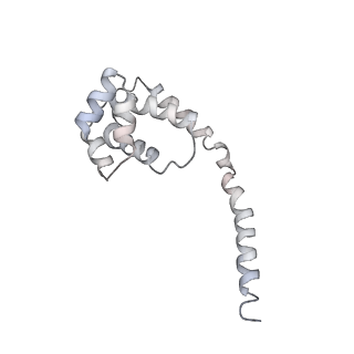10056_6rxz_UE_v1-1
Cryo-EM structure of the 90S pre-ribosome (Kre33-Noc4) from Chaetomium thermophilum, state b