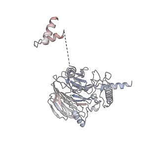 10056_6rxz_UG_v1-1
Cryo-EM structure of the 90S pre-ribosome (Kre33-Noc4) from Chaetomium thermophilum, state b