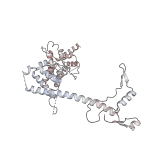 10056_6rxz_UH_v1-1
Cryo-EM structure of the 90S pre-ribosome (Kre33-Noc4) from Chaetomium thermophilum, state b