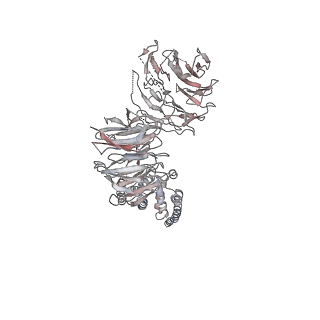 10056_6rxz_UM_v1-1
Cryo-EM structure of the 90S pre-ribosome (Kre33-Noc4) from Chaetomium thermophilum, state b