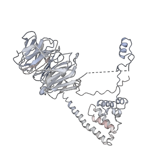 10056_6rxz_UO_v1-1
Cryo-EM structure of the 90S pre-ribosome (Kre33-Noc4) from Chaetomium thermophilum, state b