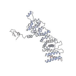 10056_6rxz_US_v1-1
Cryo-EM structure of the 90S pre-ribosome (Kre33-Noc4) from Chaetomium thermophilum, state b