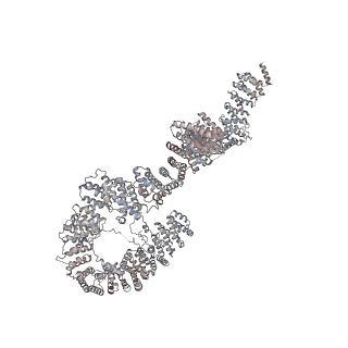 10056_6rxz_UT_v1-1
Cryo-EM structure of the 90S pre-ribosome (Kre33-Noc4) from Chaetomium thermophilum, state b