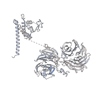 10056_6rxz_UU_v1-1
Cryo-EM structure of the 90S pre-ribosome (Kre33-Noc4) from Chaetomium thermophilum, state b