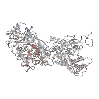 10056_6rxz_UV_v1-1
Cryo-EM structure of the 90S pre-ribosome (Kre33-Noc4) from Chaetomium thermophilum, state b