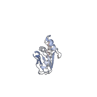 10056_6rxz_UX_v1-1
Cryo-EM structure of the 90S pre-ribosome (Kre33-Noc4) from Chaetomium thermophilum, state b