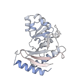 10056_6rxz_UZ_v1-1
Cryo-EM structure of the 90S pre-ribosome (Kre33-Noc4) from Chaetomium thermophilum, state b