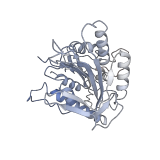24721_7rx0_C_v1-3
Complex of AMPPNP-Kif7 and Gli2 Zinc-Finger domain bound to microtubules