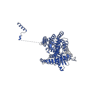 24722_7rx2_A_v1-1
afTMEM16 in C22 lipid nanodiscs with MSP1E3 scaffold protein in the presnece of Ca2+