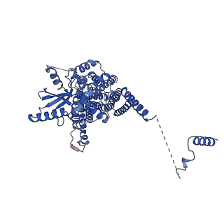 24723_7rx3_A_v1-1
afTMEM16 in C14 lipid nanodiscs with MSP1E3 scaffold protein in the absence of Ca2+